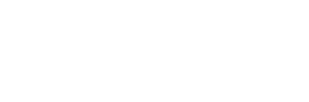 LOGO GROUPE SOLYANCE